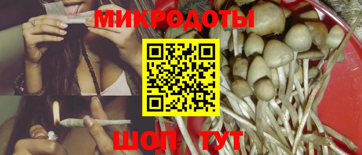 Псилоцибиновые грибы прущие грибы  Галлюциногенные грибы Psilocybe  Владикавказ  Вход с VPN 